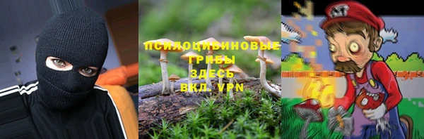 бутират Каменка