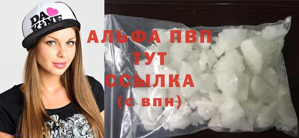 прущие грибы Каменногорск