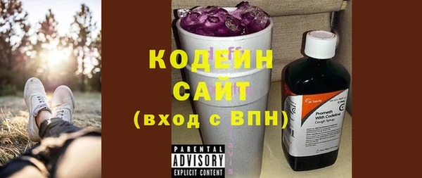 прущие грибы Каменногорск