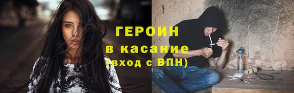 прущие грибы Каменногорск
