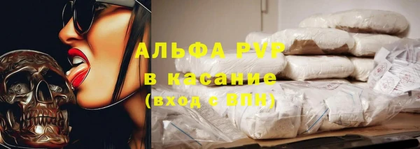 прущие грибы Каменногорск