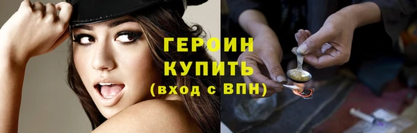 прущие грибы Каменногорск