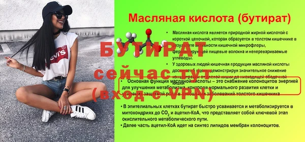прущие грибы Каменногорск