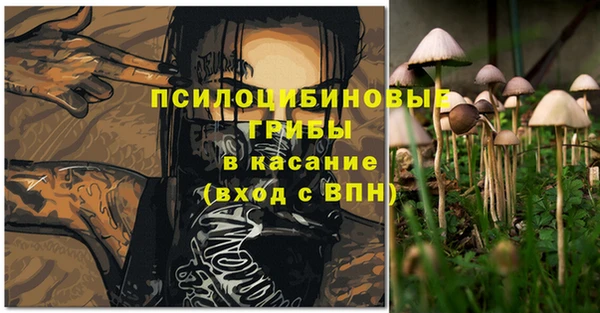 амф Карпинск