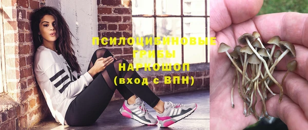амф Карпинск