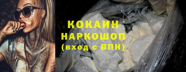 прущие грибы Каменногорск
