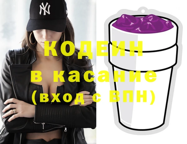 прущие грибы Каменногорск