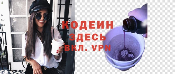 прущие грибы Каменногорск